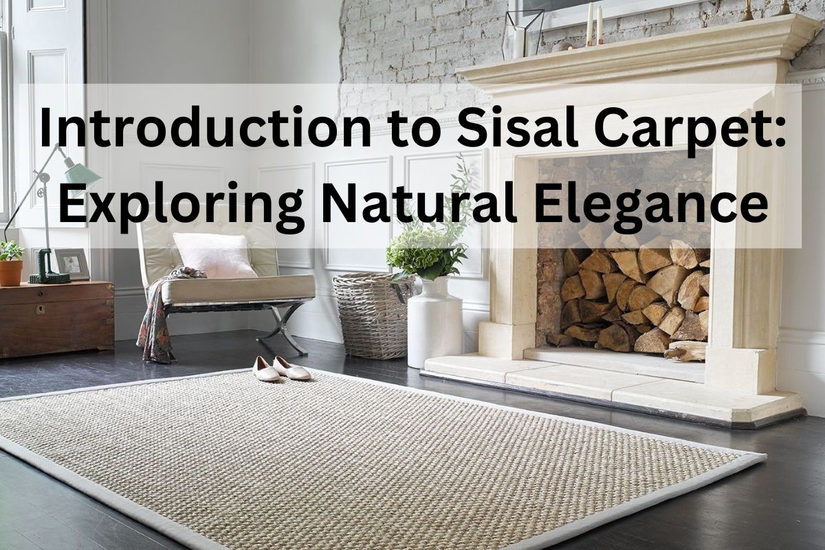 Read more about the article Sisal Carpet: Exploring Natural Elegance