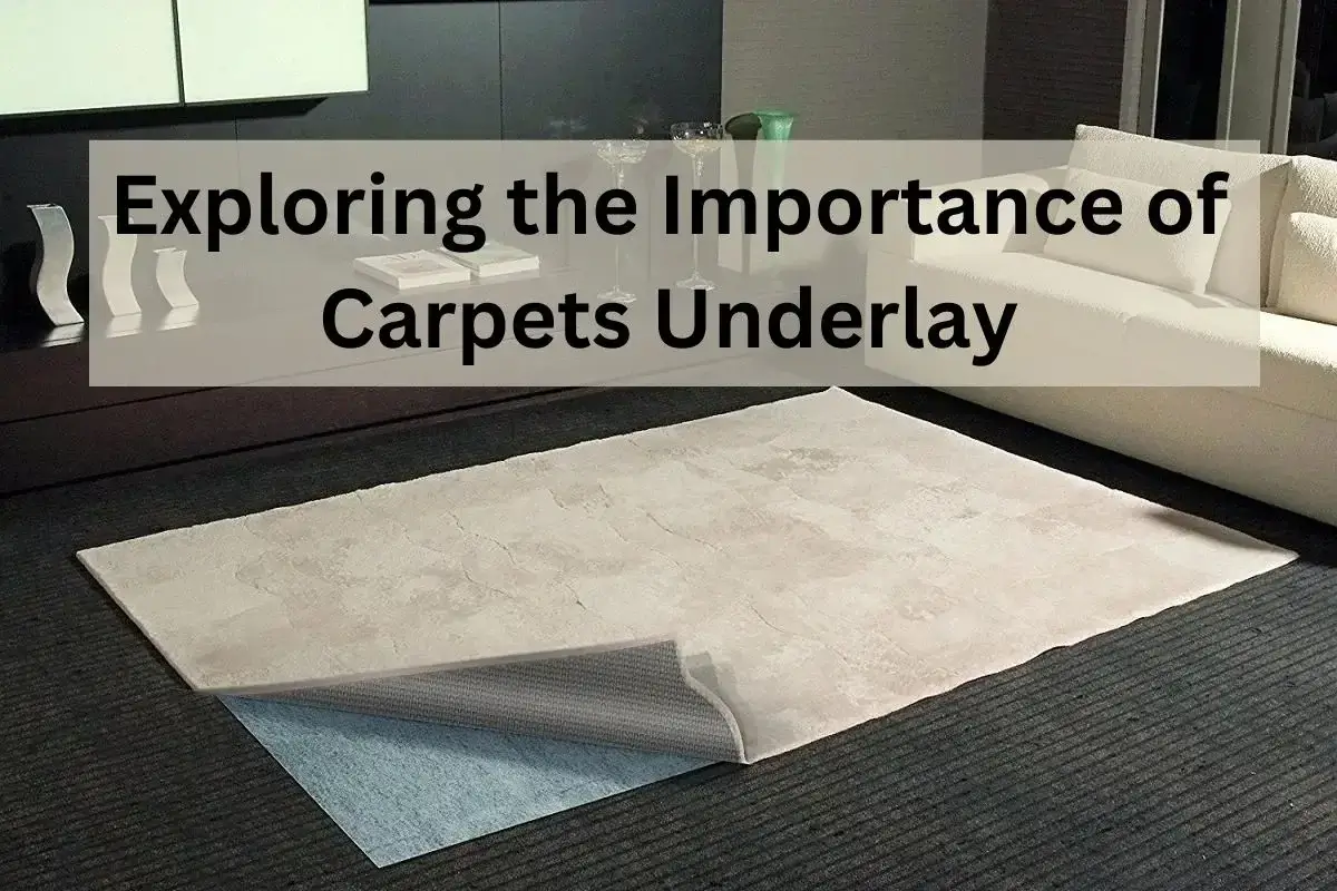Read more about the article Exploring the Importance of Carpets Underlay