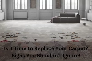 Read more about the article Is it Time to Replace Your Carpet? Signs You Shouldn’t Ignore!