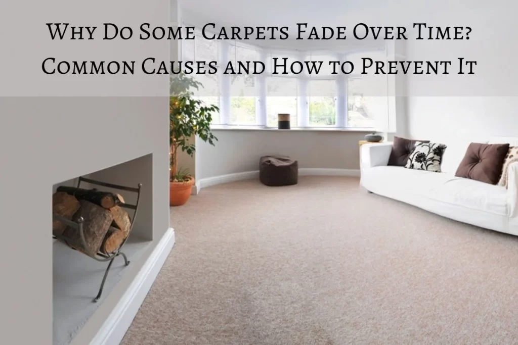 Why Do Some Carpets Fade Over Time? Common Causes and How to Prevent It