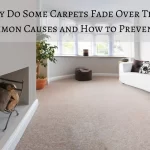 Why Do Some Carpets Fade Over Time? Common Causes and How to Prevent It