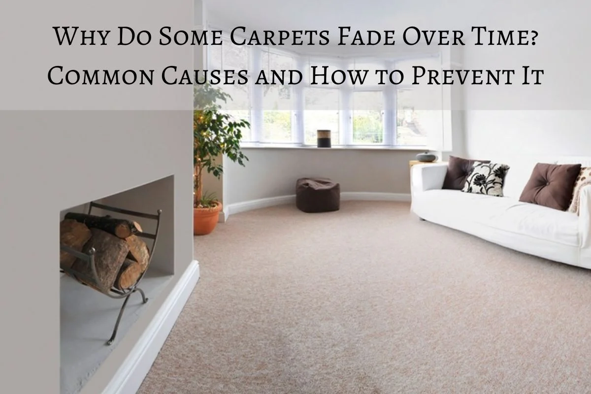 Read more about the article Why Do Some Carpets Fade Over Time? Common Causes and How to Prevent It