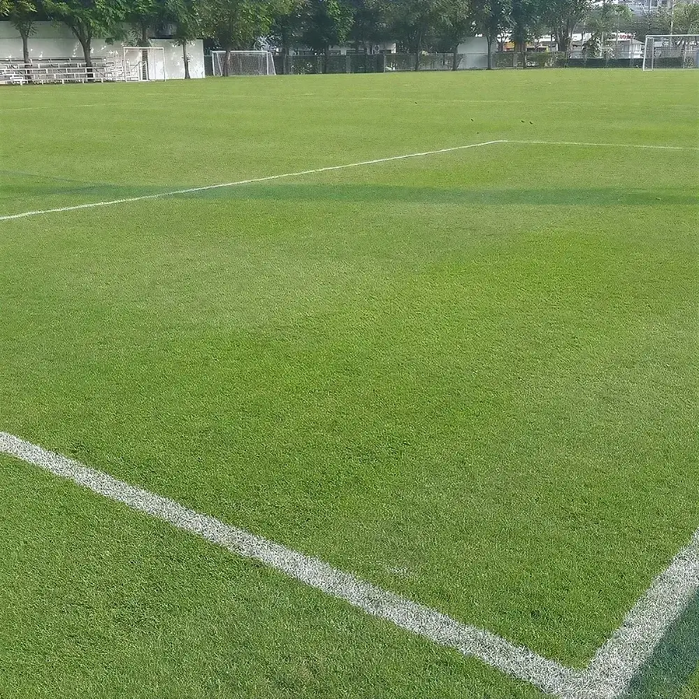 Football Turf Football Turf